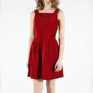 Birds of North America Red Velvet Dress